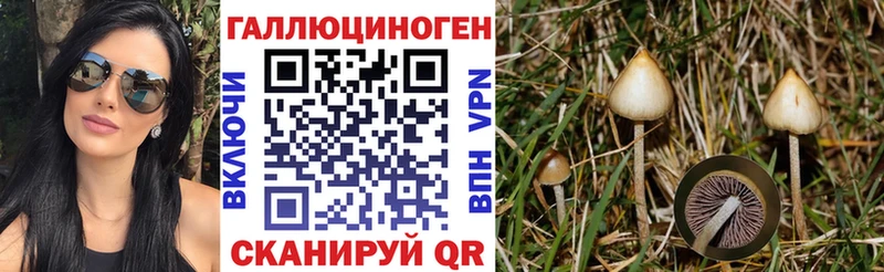что такое   Высоцк  Псилоцибиновые грибы прущие грибы 
