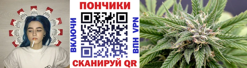Канабис Bruce Banner  Высоцк 